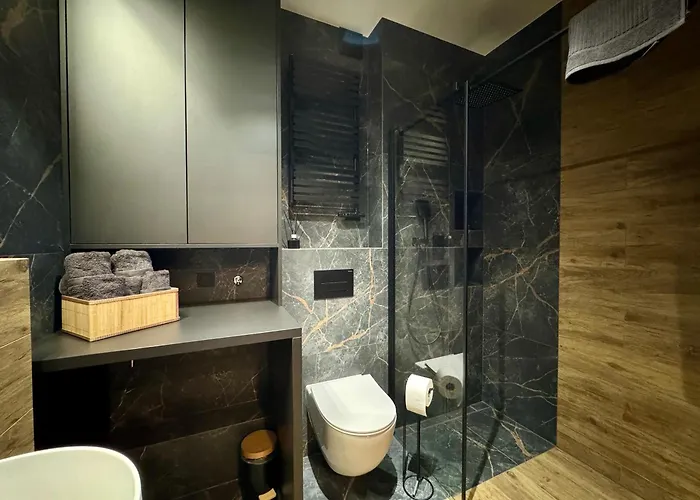 Kostecki Exclusive & Spa, Garage, Spodek, Centrum, Jacuzzi, 19 Pietro Apartahotel 3*